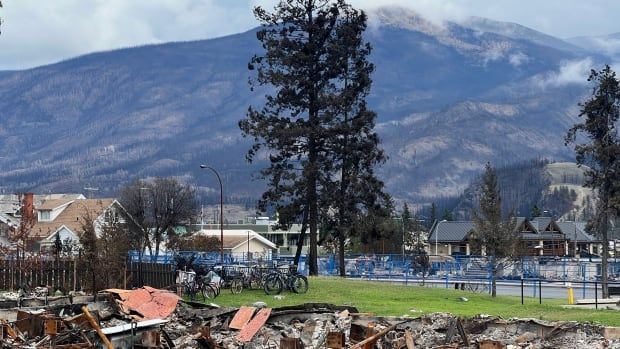 rubble with a mountain behind