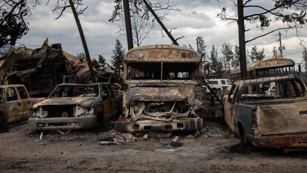 Burnt school busses and cars are seen in an outdoor lot. 