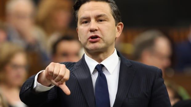 Conservative Leader Pierre Poilievre rises during question period in the House of Commons on Parliament Hill in Ottawa on Wednesday, June 12, 2024.