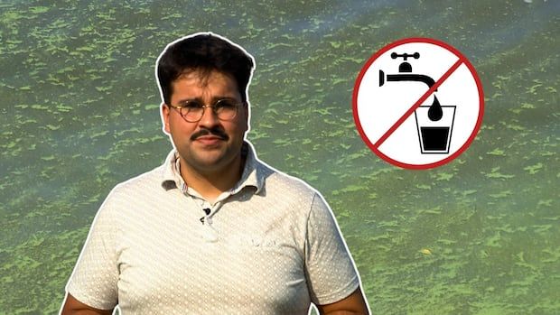 Reporter superimposed over close up of blue-green algae in water. A no drinking water sign is at the top right of the frame.