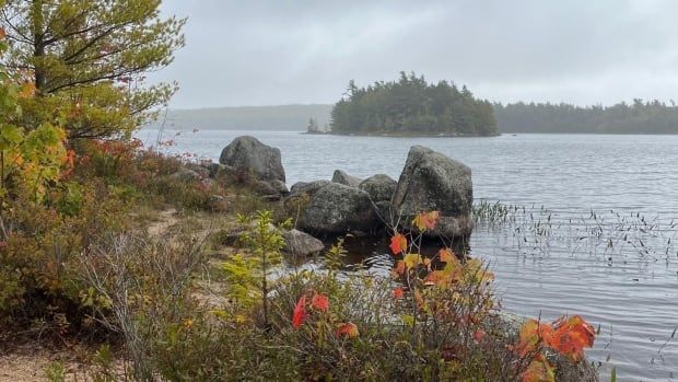 An island in a lake at the distance with trees. 