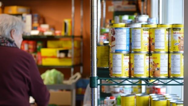 A shelf full of cans with a woman stocking a box