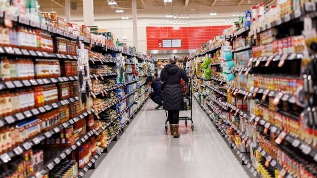 A person pushes a shopping cart through a grocery store aisle.