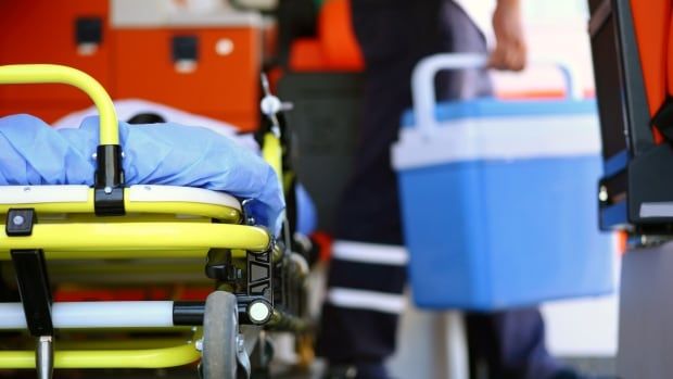 A stock photo of someone carrying an organ cooler.