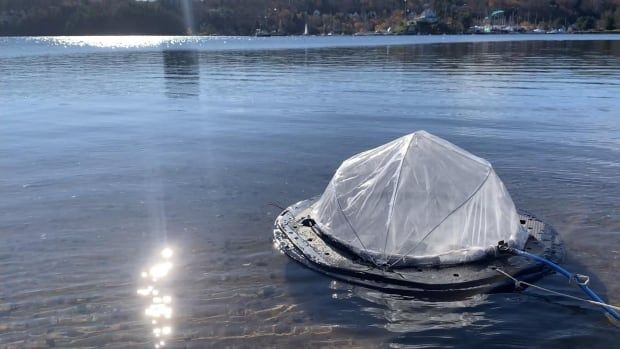 A white dome object floating on the water. 