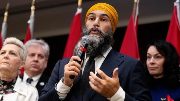 New Democratic Party leader Jagmeet Singh addresses NDP caucus and staff during the annual Staff Forum in the Parliamentary Precinct of Parliament Hill in Ottawa, on Tuesday, Dec. 3, 2024.