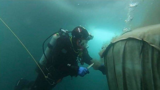 A diver holds a knife in this underwater image.