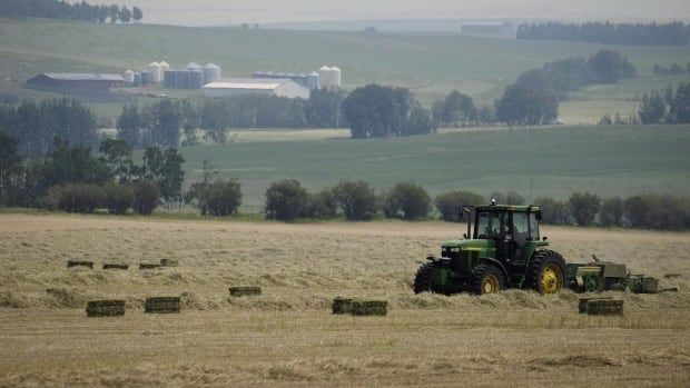 A tractor is shown in a field.