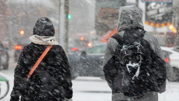 Two people walk in snowy weather.