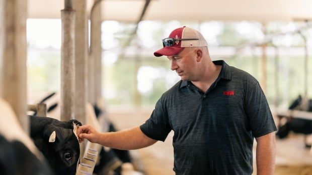 Drew Spoelstra is president of the Ontario Federation of Agriculture, which represents 38,000 farmers across the province. He says Canada's next prime minister needs to take quick action when dealing with incoming U.S. president Donald Trump's tariff threats. 