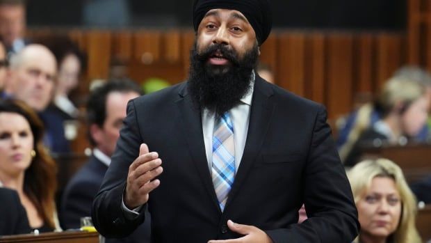 Conservative finance critic Jasraj Singh Hallan rises during question period in the House of Commons on Parliament Hill in Ottawa on Thursday, Oct. 26, 2023. THE CANADIAN PRESS/Sean Kilpatrick