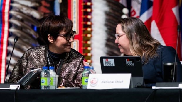 Two people lean to speak while seated at a desk with flags in the background.