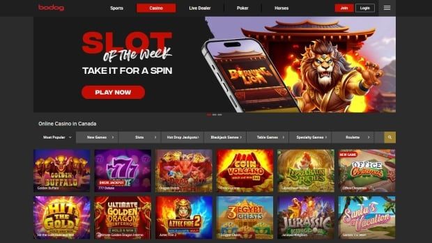 A website page with a header that says 'Bodog,' with multiple thumbnails showing different slot machines