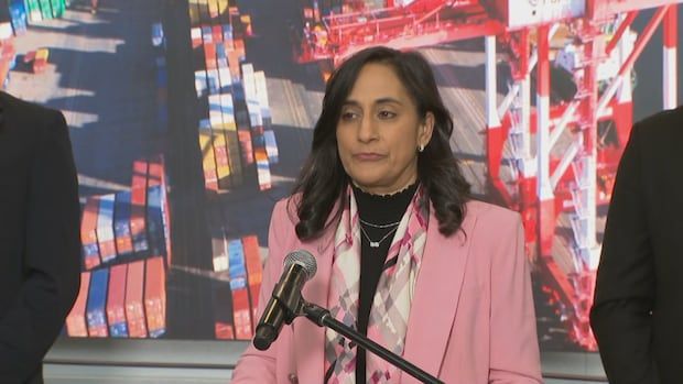 Anita Anand stand at a microphone in Halifax.