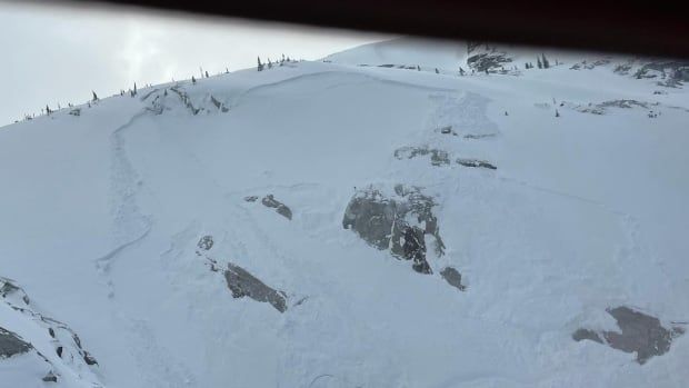 Snow covers a mountain slope. 