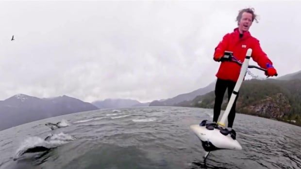 Dolphins jump through the air while a man on a hydrofoil laughs.