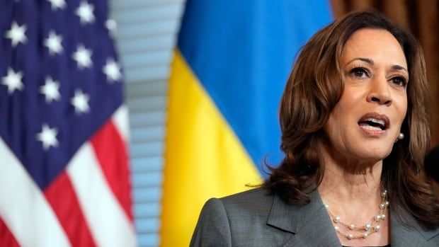 U.S. Vice President Kamala Harris, the Democratic presidential nominee, speaks during a meeting with Ukrainian President Volodymyr Zelenskyy in Washington on Thursday.