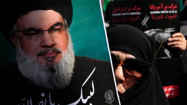 An Iranian worshipper holds up a poster a bearded man and white writing that reads, in Arabic: "At your service Nasrallah".