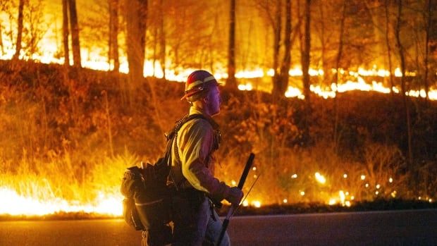 Firefighter walks past burning brush in a forest