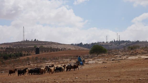 A person on horseback moves a herd of animals. Settlement are visible on nearby hilltops