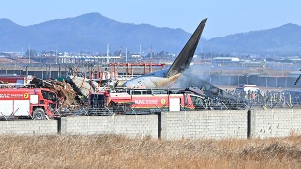 Firetrucks surround the smoldering wreckage of a plane.