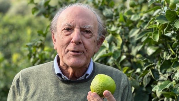 A man holds a bergamot fruit.