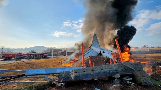 The wreckage of a crashed plane is seen burning as firefighters attempt to extinguish it.