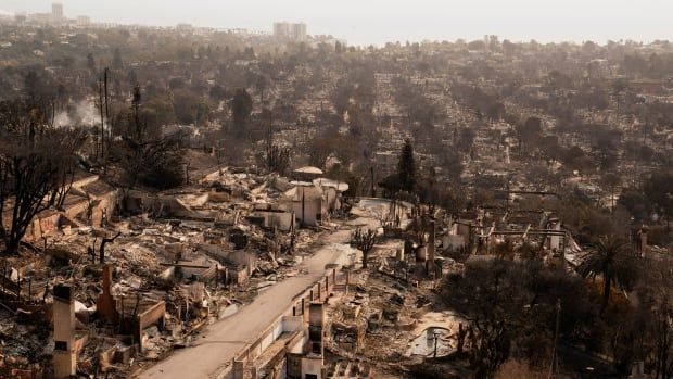 An aerial view shows a neighbourhood devastated by fire.