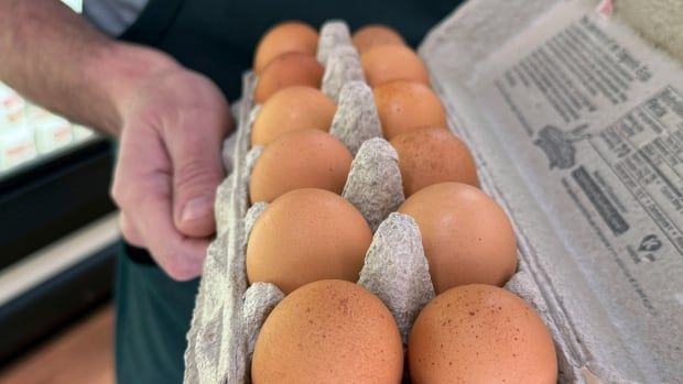 A hand holding a carton of brown eggs