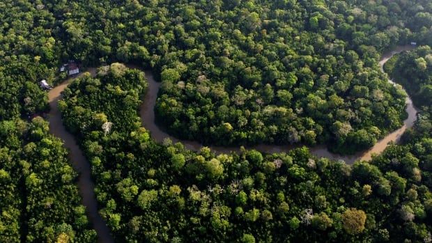 Forest lines near the city of Belem, Brazil, in the Amazon rainforest, where the next global U.N. climate conference will be held. Host country Brazil helped to bring about a related deal on funding for conserving nature and biodiversity.