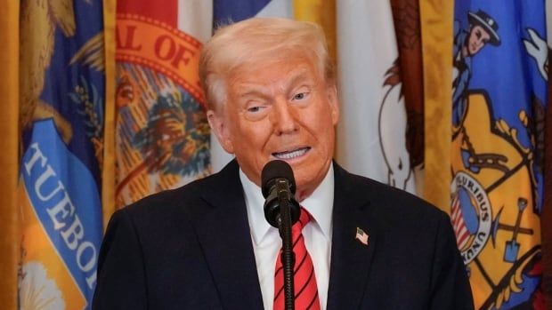 U.S. President Donald Trump speaking in the East Room at the White House.