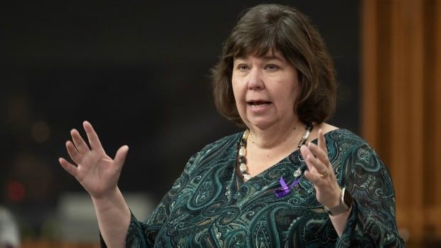 A politician gestures with two hands while speaking in a legislature.