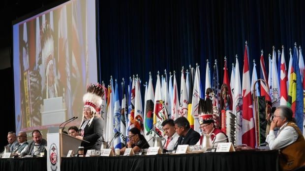 National Chief Cindy Woodhouse Nepinak gives her opening address at the Assembly of First Nations annual general assembly  in Montreal, Tuesday, July 9, 2024. 