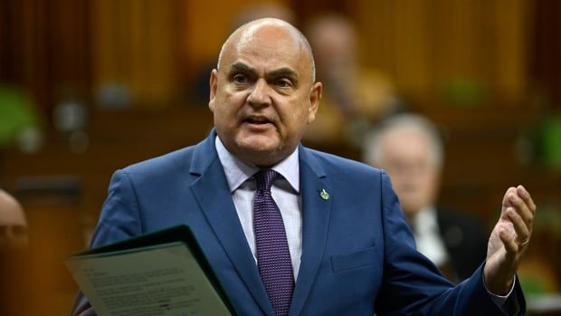 A stately man in a blue suit rises in the House of Commons, gesturing with his hand. He holds a binder in one hand, with his MP pin on his lapel.