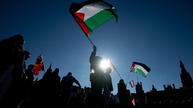 People wave white, green and black flags with a red triangle during an outside rally.