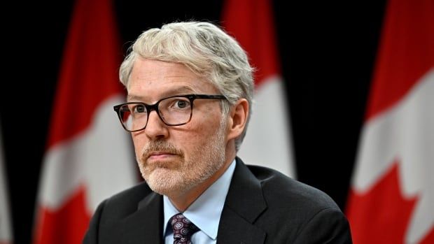 A man in a suit and tie sits in front of a row of Canadian flags.