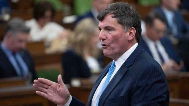 Minister of Public Safety, Democratic Institutions and Intergovernmental Affairs Dominic LeBlanc rises during Question Period, Monday, June 17, 2024 in Ottawa.