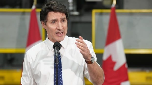 Prime Minister Justin Trudeau speaks during a news conference after he toured the Anchor Danly steel manufacturing company in Windsor, Ont., on Thursday Jan. 16, 2025.