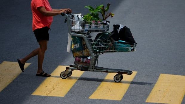 A shopper pushes a shopping cart