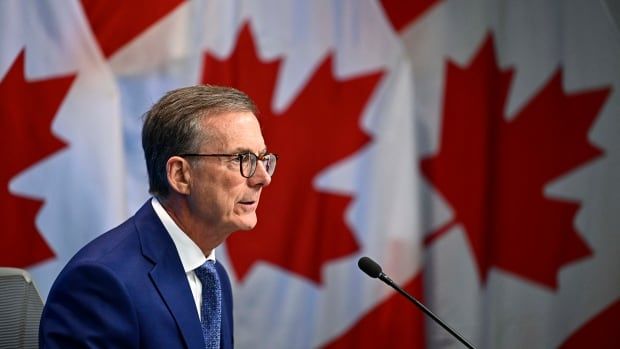 The profile of a seated man in a suit is visible against a backdrop of Canadian flags lined up. 