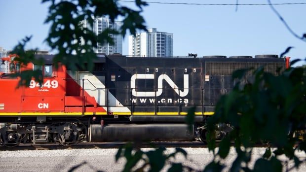 A CN rail car seen through a bush.