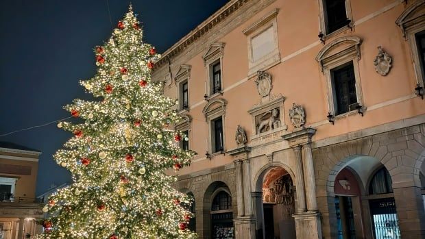 A very large decorated Christmas tree in a town square.