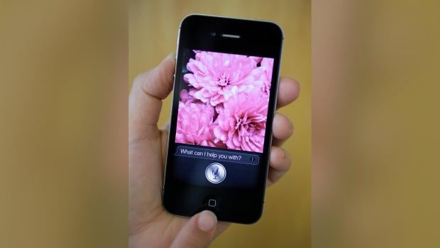 A person holds an iPhone with an image of pink flowers and the icon for the personal assistant Siri.