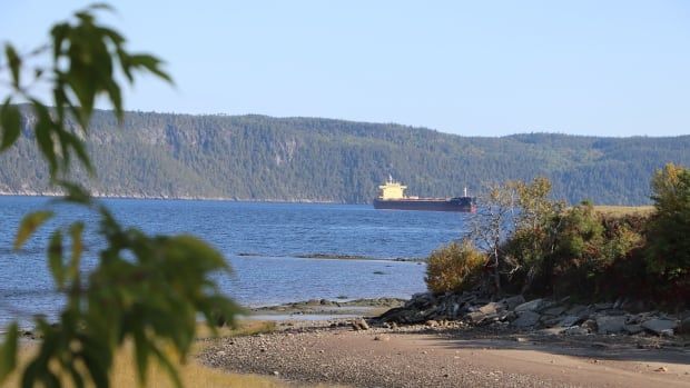 The Saguenay fjord with a ship in the distance. 