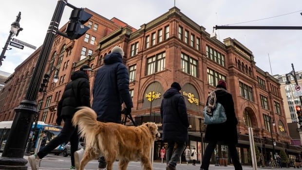 A large brown brick building is seen at the corner of a street, in a shot taken at an upwards angle from the sidewalk. It says "The Baie" in yellow lettering on one side and "The Bay" on the other. People are walking on the sidewalk in front of the building, including a person with a dog. 