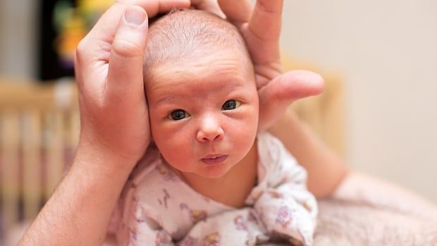 A young baby looks straight at the camera. Adult hands support its head.