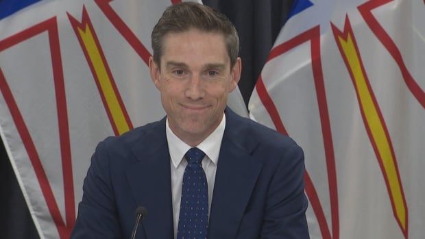 Man in suit with Newfoundland and Labrador flags in background. 