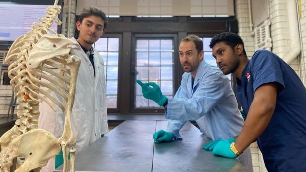 Three people look at a skeleton in a laboratory.