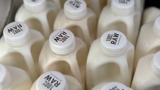 About a dozen bottles of milk are pictured from above. Labels on the lid read "100% raw."