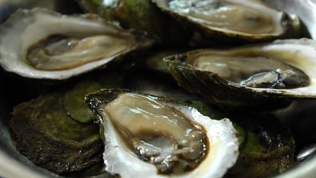 Shucked oysters are pictured in a close up shot. 